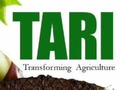 15 Job Opportunities at Tanzania Agricultural Research Institute (TARI)