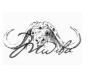 Junior Graphic Designer Job Opportunity at Mwiba Holdings | February 2026