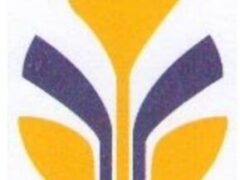 Accountants — 5 Positions at Shamo Industries LTD